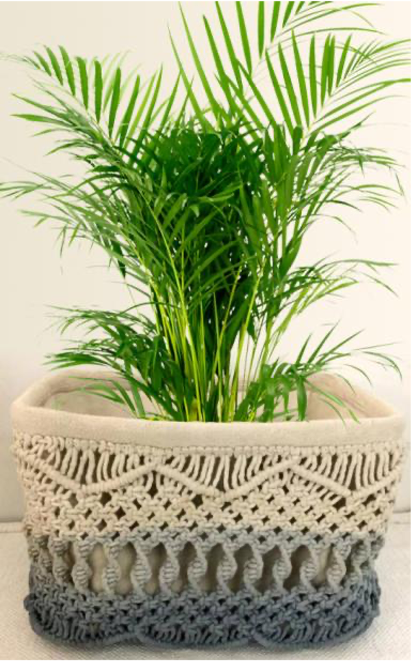 designersterracotta.com Product Picture